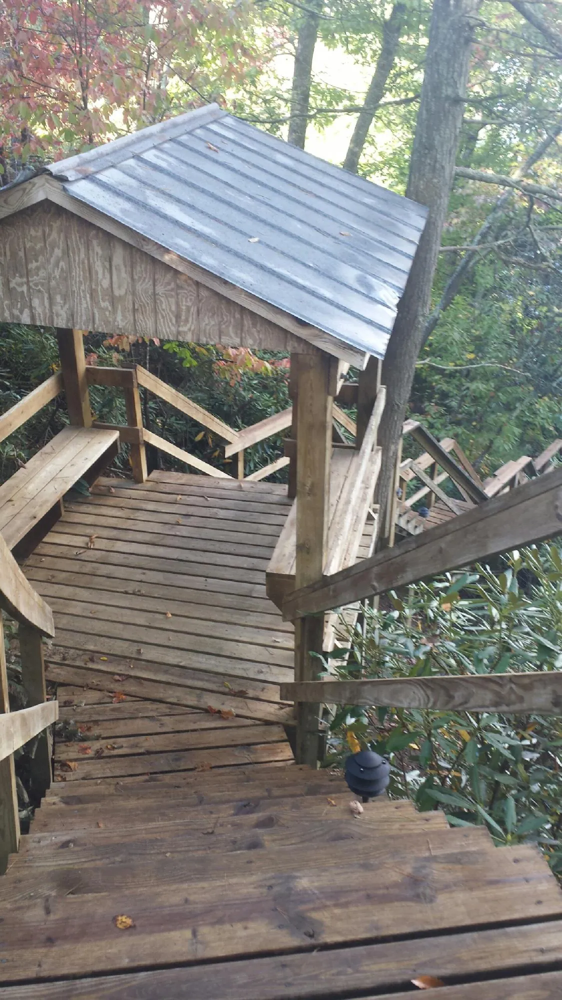 Metal roofed shelter over wooden steps on a wooded walkway — Skylight Repair & Installation work by our crew in Lecanto